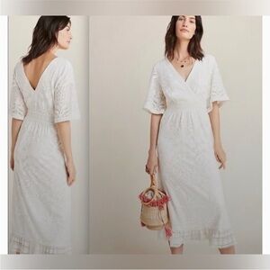 Farm Rio for Anthropologie Devore Dress (L)